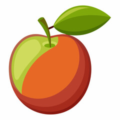 vector illustration of an jujube fruit