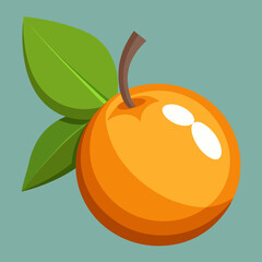vector illustration of an loquat fruit