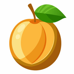 vector illustration of an lucuma fruit