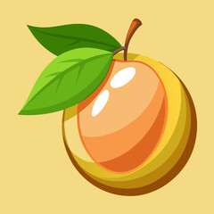 vector illustration of an lucuma fruit