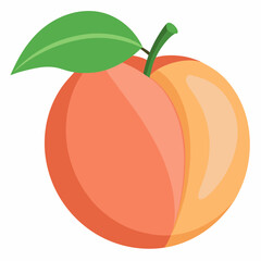 vector illustration of an peach
