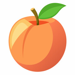 vector illustration of an peach