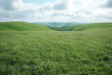 Rolling Green Hills Meadow Wildflowers Landscape