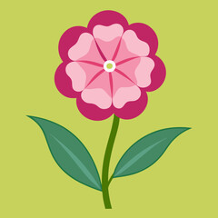 phlox flower background