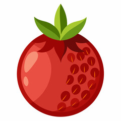 vector illustration of an pomegranate