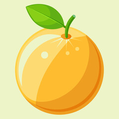 vector illustration of an pomelo