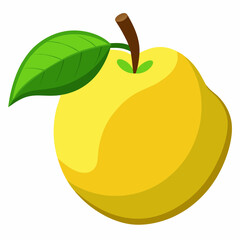 vector illustration of an quince