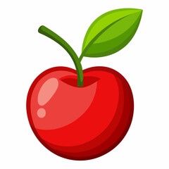 acerola barbados cherry vector illustration