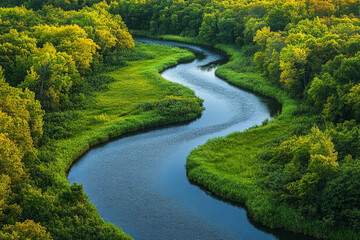 Serpentine River Winding Through Lush Green Forest