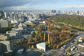 東京千代田区永田町国会議事堂付近の並木