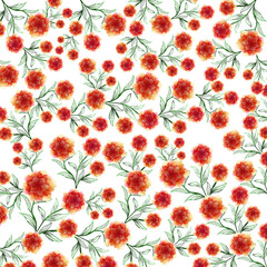 colorful watercolor flower frames on white background