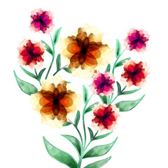 watercolor flowers white background