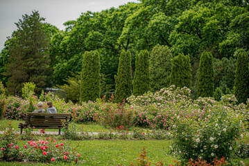 senior couple sitting on bench in park