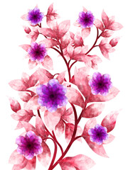 hand drawn watercolor flowers and leaves on white background