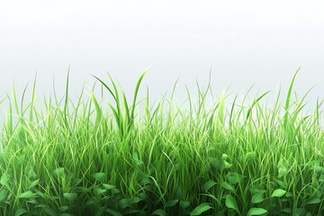 Obraz premium Lush green grass with a bright background, ideal for nature-themed designs.