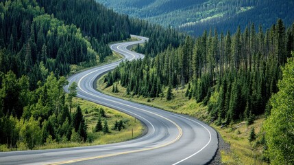 Fototapeta premium Serene Winding Road Through Lush Green Forest