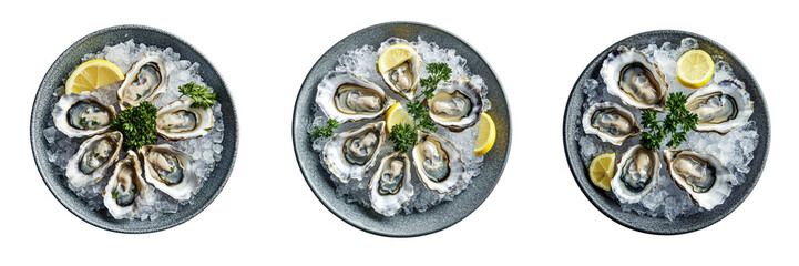 A Set of Fresh Oysters Presented on Crushed Ice with Lemon Slices Isolated on Transparent Background