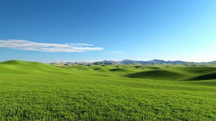 Fototapeta premium Serene Green Meadow Landscape