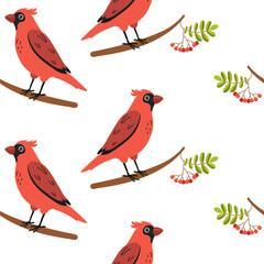 Bright red cardinals perched on branches among green leaves and berries
