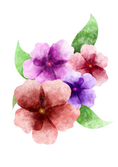 Flower watercolor colorful 