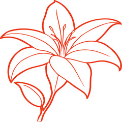  The flower design with color