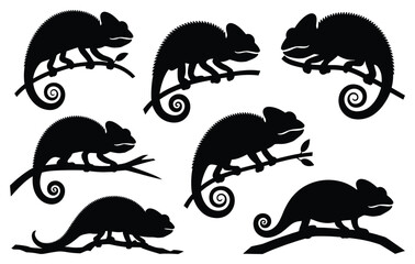 Set of chameleons silhouette on branches vector illustration