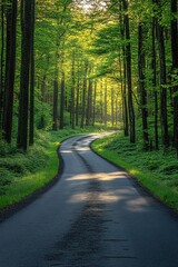 Obraz premium Sunlit forest road, lush greenery, peaceful and serene atmosphere