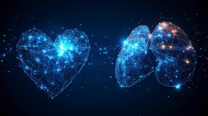 Abstract Heart and Lungs Connected by Network Lines Digital Healthcare Concept