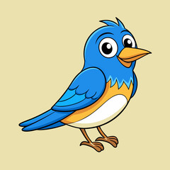 eastern blue bird  vector