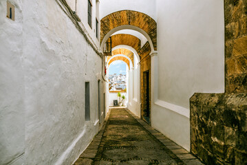 Landscape of Vejer de la Frontera in Cadiz, Andalusia, Spain © KikoStock