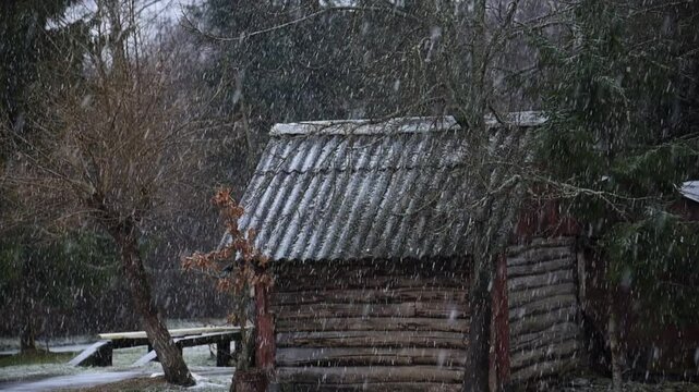 Small wooden house made of logs during a snowfall in the winter countryside (Pskov region, Russia)