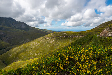 outeniqua mountains from outeniqua pass, george, south Africa