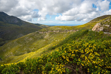 outeniqua mountains from outeniqua pass, george, south Africa