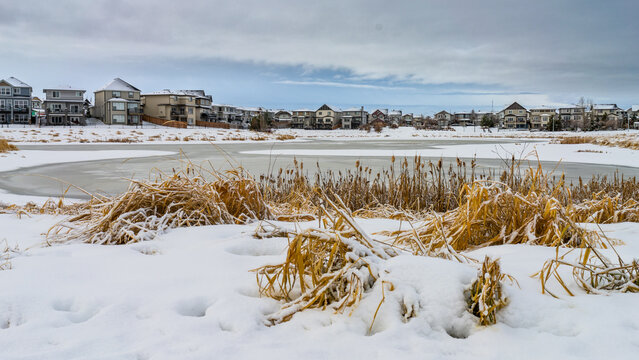 Winter season view to naturalization around stormwater management facility with snow and cloud sky