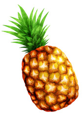 hand drawn watercolor style yellow pineapple