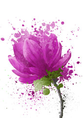 Hand drawing of pink watercolor style flowers with water splash