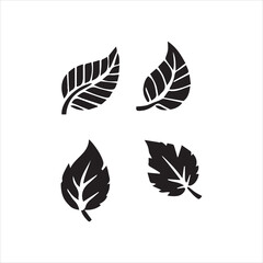 Fototapeta premium set of leaves silhouettes
