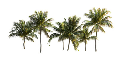 Obraz premium Tropical paradise scene isolated island photo stock nature aerial view serene landscape