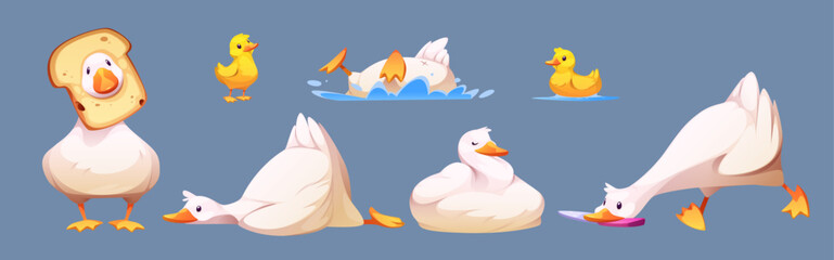 Cute goose or duck character set - white waterfowl with bread on head, swimming, diving poses, resting and slipping position, carrying knife. Playful baby yellow ducklings or goslings. Cartoon mascot.