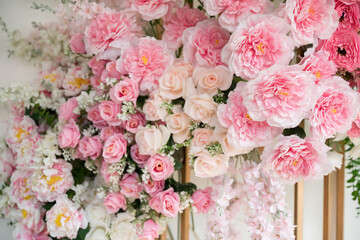 beautiful rose flower	