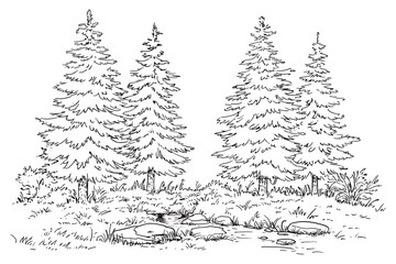 Obraz premium Hand-Drawn Ink Sketch: Trio of Pines Beside a Rocky Stream