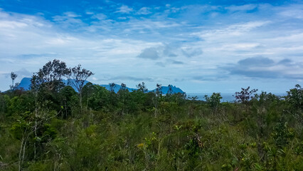 Landscape with dense vegetation transitioning to distant, hazy mountains in Bako National Park,...