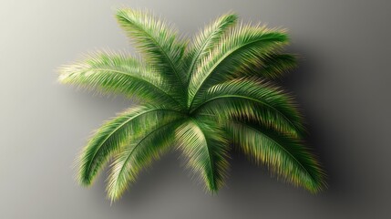 Palm Tree Branch Border With Transparent Background With Gradient Mesh, Vector Illustration