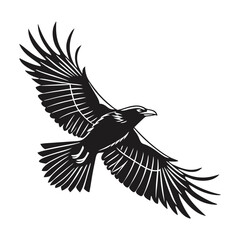 Fototapeta premium black and white vector of a raven in flight perfect for tattoo