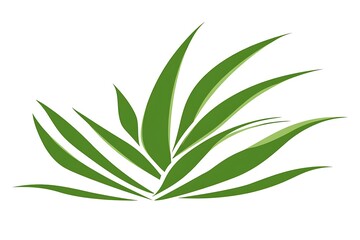 Fototapeta premium Stylized Lush Green Tropical Grass Blades, Isolated Vector Illustration