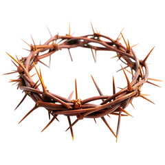 Fototapeta premium Realistic Brown Thorns Crown of Christ Religious Symbol holy dark jesus faith sharp black 