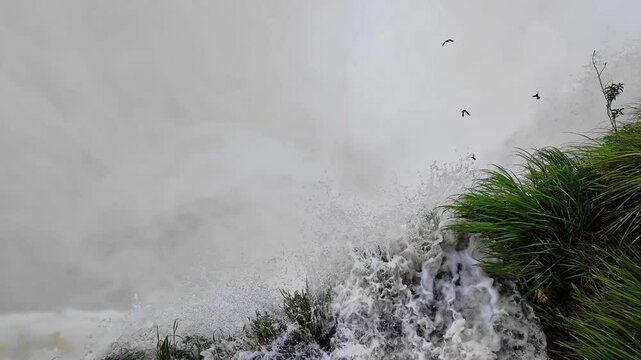Top-down view over Iguazu Falls, the largest waterfall system in the world, straddling the Argentina-Brazil border. A dramatic view of cascading rivers amidst lush greenery.