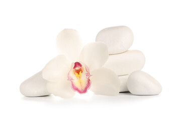 Beautiful orchid flower and spa stones on white background
