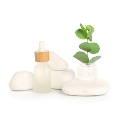 Composition with bottle of essential oil, eucalyptus branch and spa stones on white background