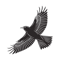 Obraz premium black and white vector of a raven in flight perfect for tattoo